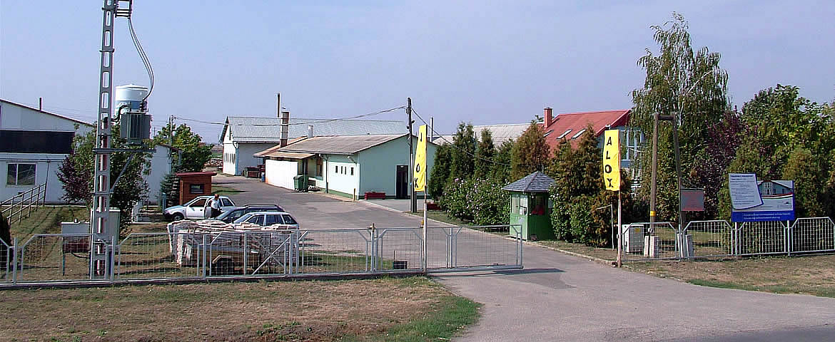 bg3